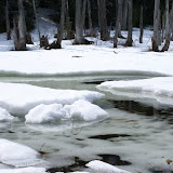 DSC05507.JPG