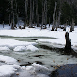 DSC05508.JPG