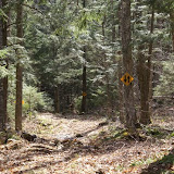 DSC05571.JPG