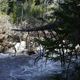 DSC05578.JPG