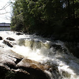DSC05615.JPG