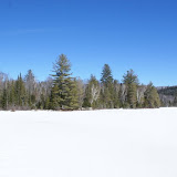DSC05460.JPG