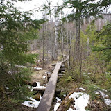 beggining of the wetlands