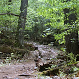 The Trail Again