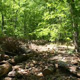 the trail with a lot of breakdown