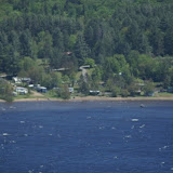 beach across the lake
