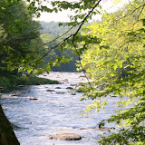 DSC04829.JPG