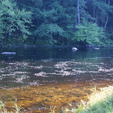 DSC04843.JPG