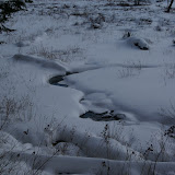 DSC08494.JPG