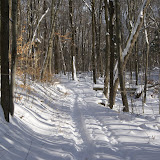 DSC08496.JPG