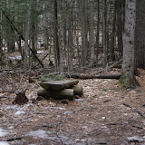 DSC08541.JPG