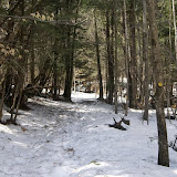 DSC08547.JPG