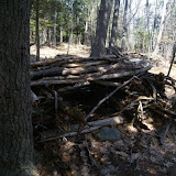 DSC08590.JPG