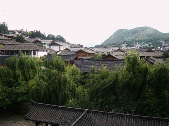 [P1080253[3].jpg]
