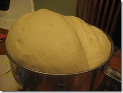 IMG_6649 IMG_6649