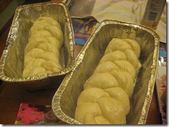 IMG_6652 IMG_6652