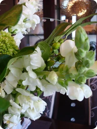 green and white flowers