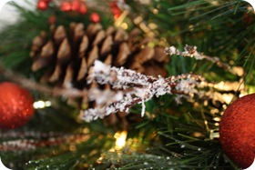 IMG_1889 IMG_1889