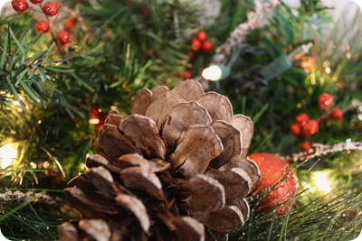 IMG_1891 IMG_1891