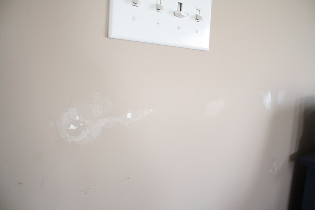[IMG_4050[1].jpg]