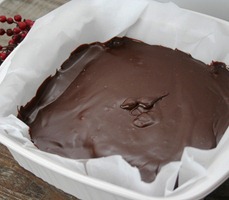 Hot_Chocolate_on_a_Stick_031[7]--