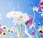 Flowers_33564749.jpg