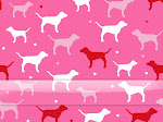 vs-pink-dock.jpg