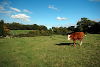 DSC_7266.JPG Photo