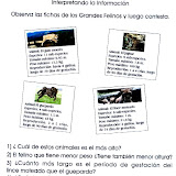 Aprendiendo a resolver problemas matematicos