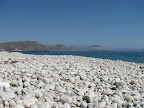IMG_1951.JPG