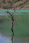 IMG_6062.jpg