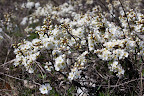 IMG_6362.jpg