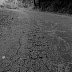 4069235310_c3971180f5_b.jpg
