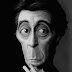 alpacino-blog.jpg