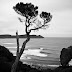 8_img3399-copy.jpg