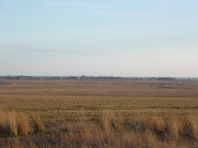 Крим 2010 (PANASONIC)
