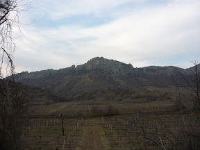 Крим 2010 (PANASONIC)