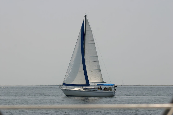 sailing
