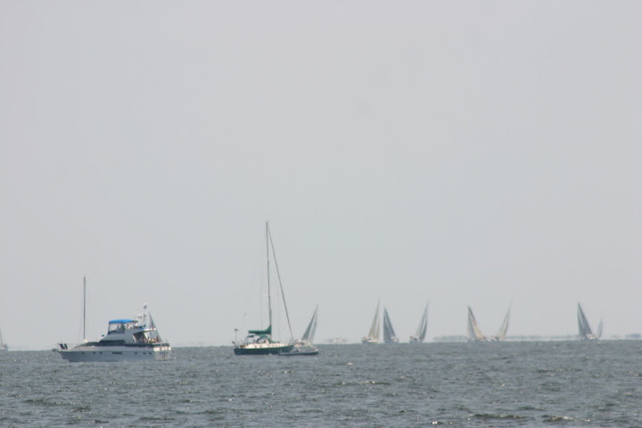 regatta