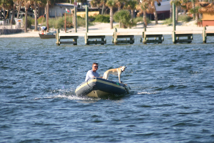 ben and pogo