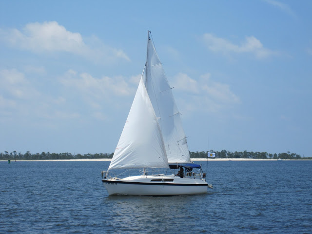 sailboats