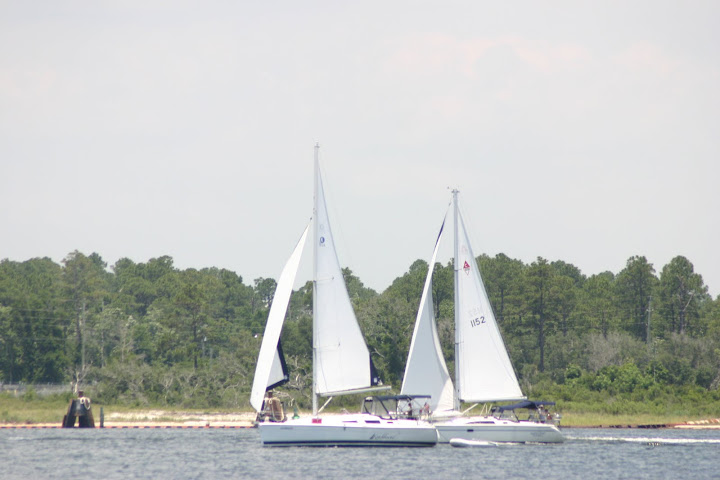 sailboats