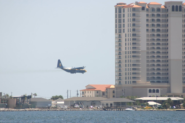 Fat Albert