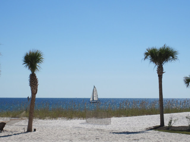 sail