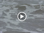 100_0076.MOV