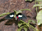 Costa Rica, Spring Break, 2007 267.jpg