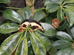 Costa Rica, Spring Break, 2007 264.jpg