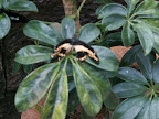 Costa Rica, Spring Break, 2007 265.jpg
