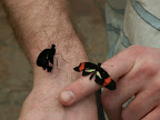 Costa Rica, Spring Break, 2007 392.jpg