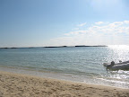 IMG_2780.jpg